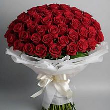 Букет 101 Красная роза Блэк Мэджик #REPLACE_PRED# Идринском