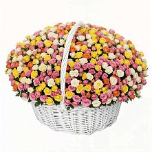 Премиум букет из: Розы в Идринском