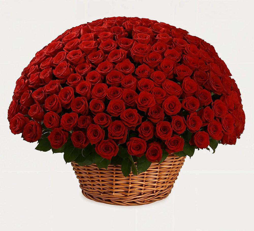 Премиум букет из: Розы в Идринском