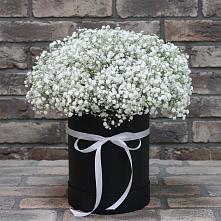 Цветочная композиция из Гипсофила в шляпной коробке в Идринском